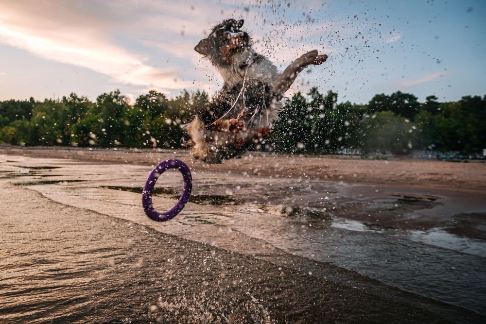 Photograph by Юлия Сухарева