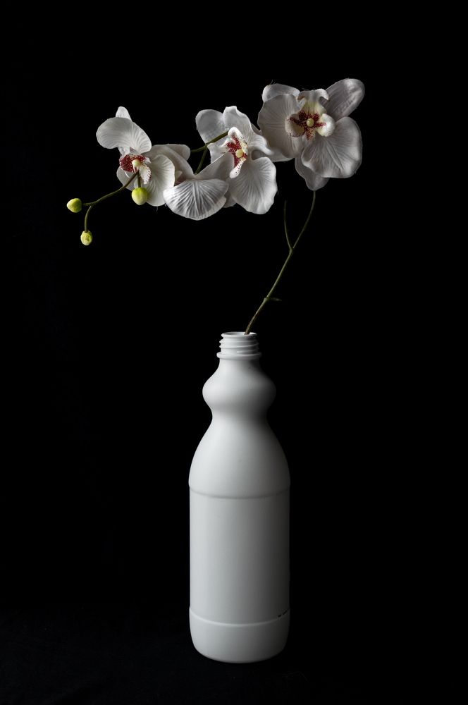 Photograph by Emilia Villalba