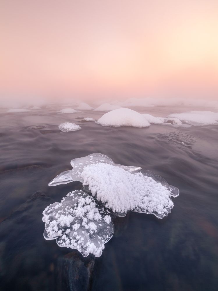Фотография автора Бушмакин Егор