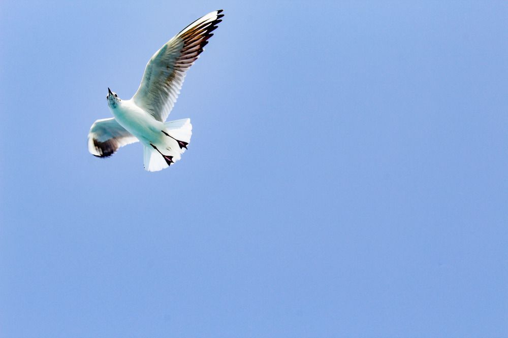 Photograph by Akash Parashar