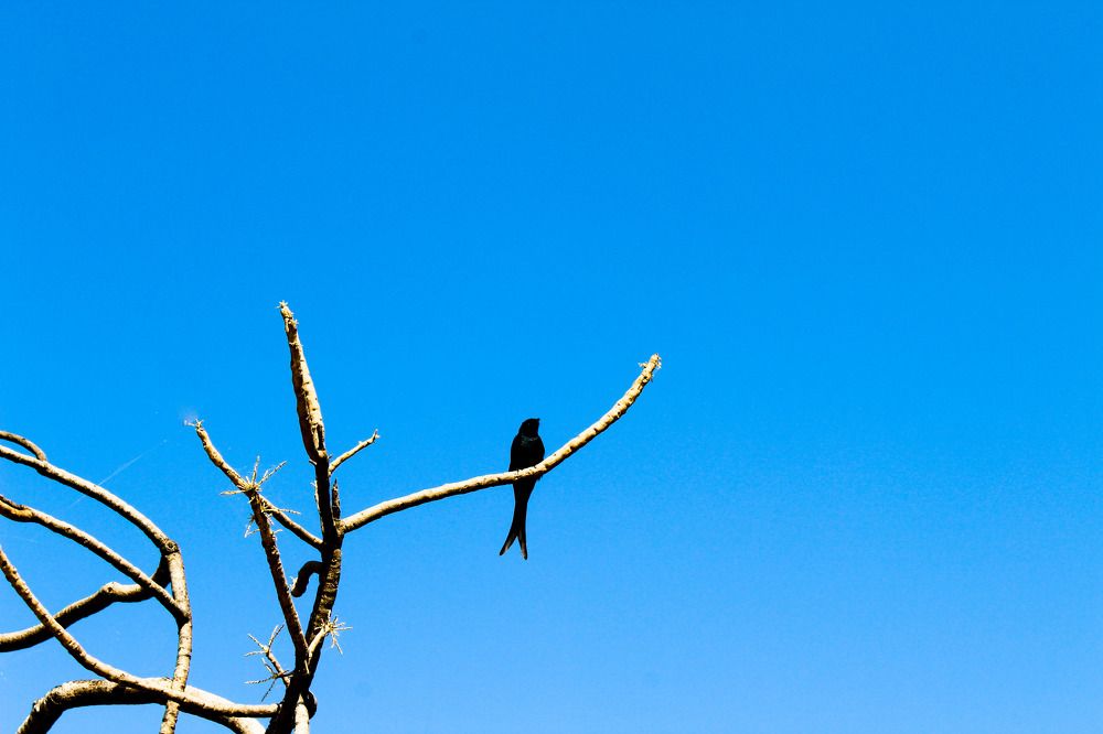 Photograph by Akash Parashar