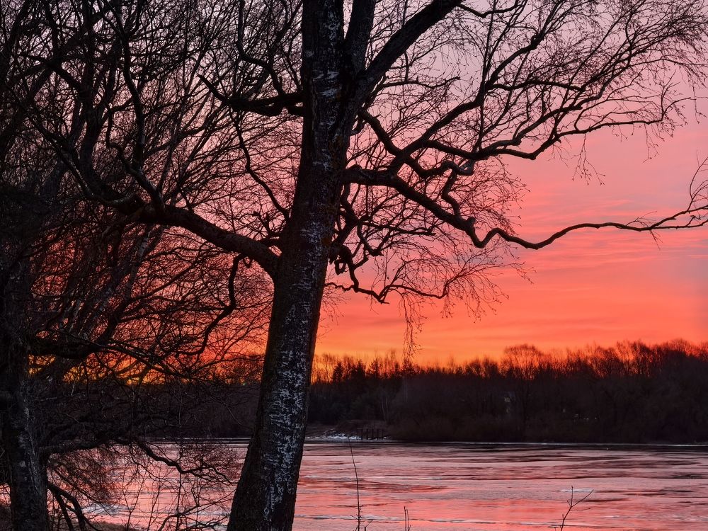 Photograph by Ирина Иванова