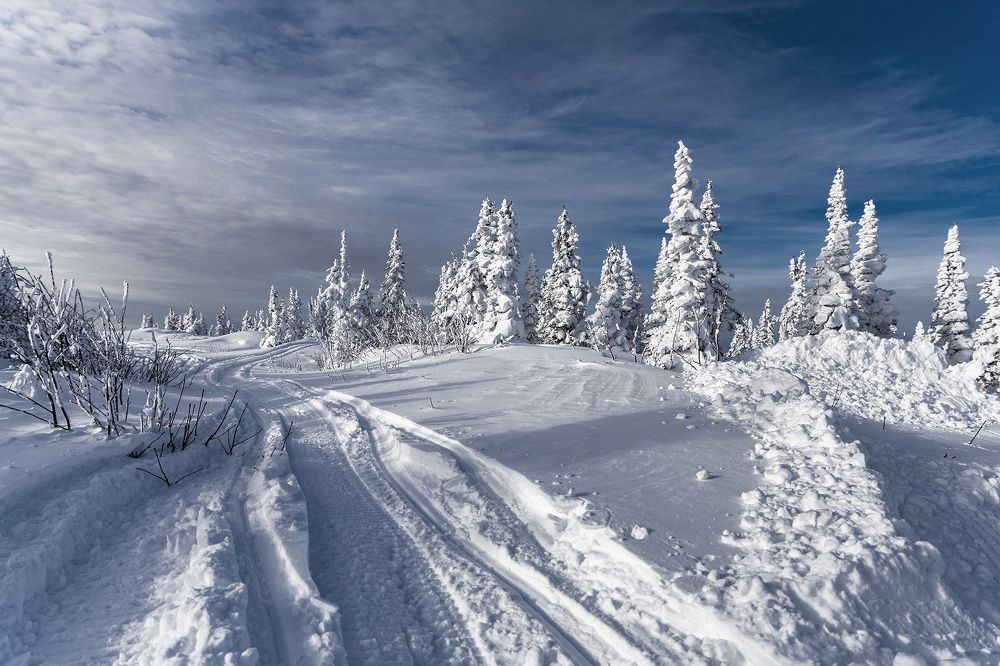 Photograph by Евгений Вяткин