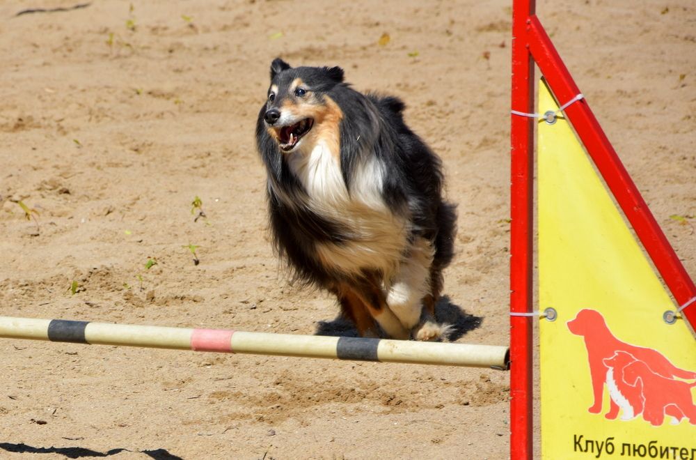 Photograph by Ирина Алексеева