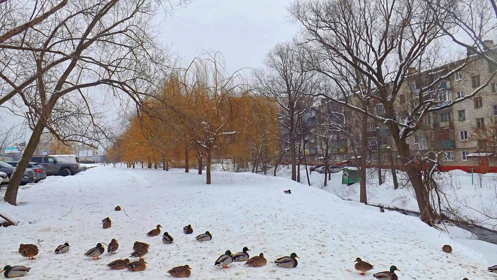 Photograph by Настя Настена