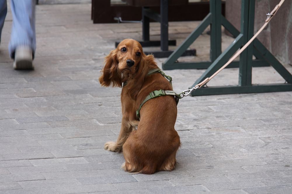 Photograph by Илья