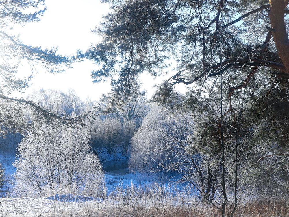 Photograph by Марина Григорьева