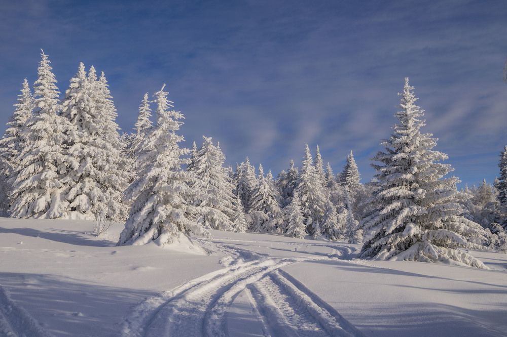 Photograph by Елена Перминова