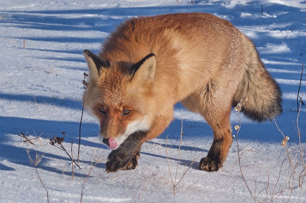 Photograph by Олег Яромий