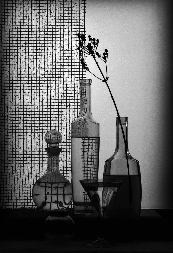 Photograph by Александр Зарх