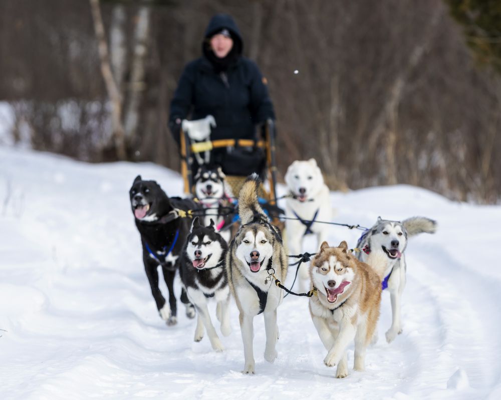 Фотография автора Clement Roy