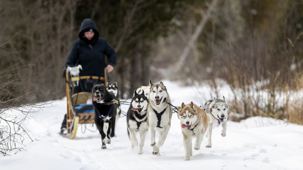 Фотография автора Clement Roy