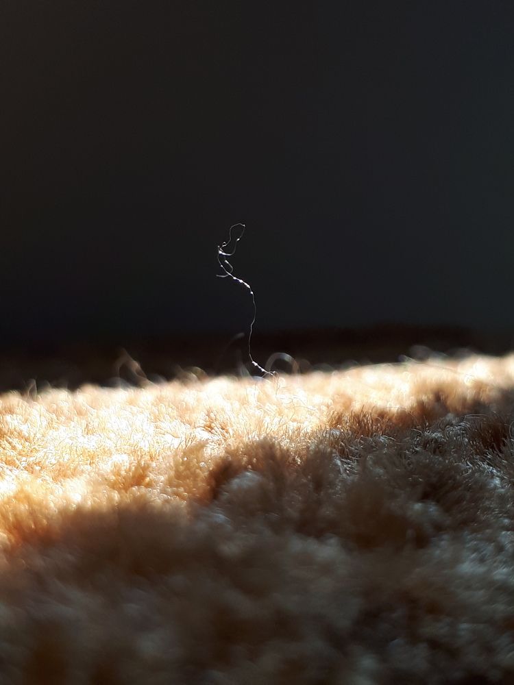 Photograph by София Лысова