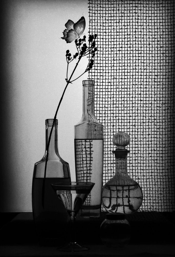 Photograph by Александр Зарх