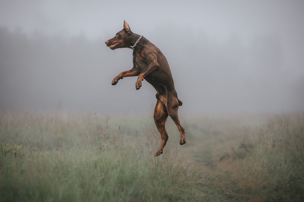 Photograph by Мария Клещенко