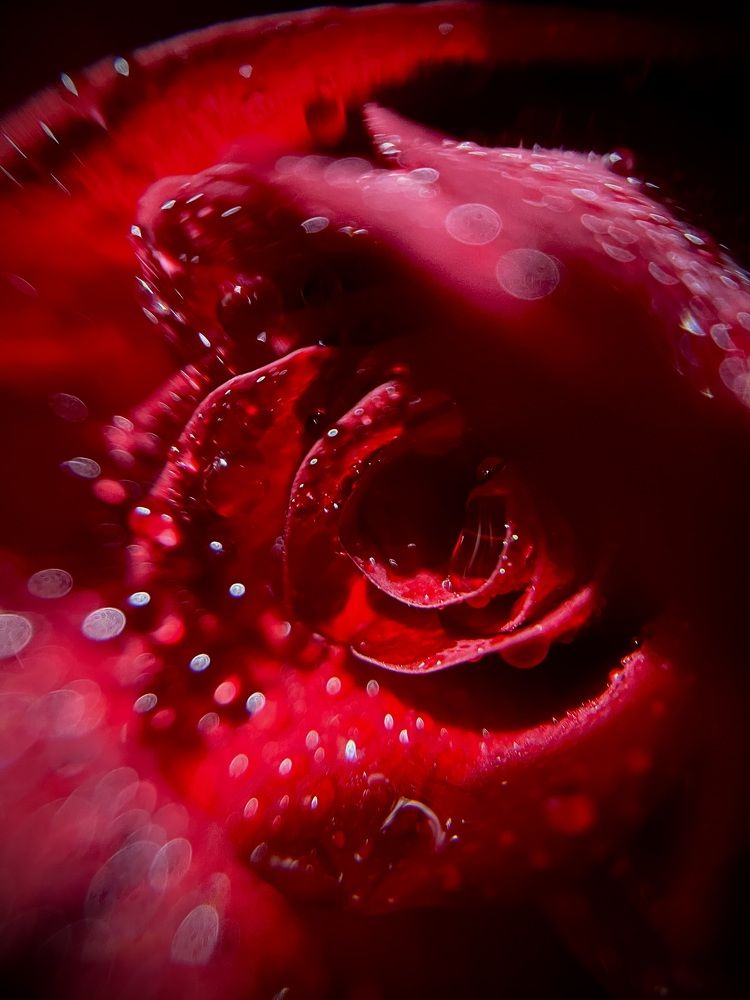 Photograph by Екатерина Одинцова