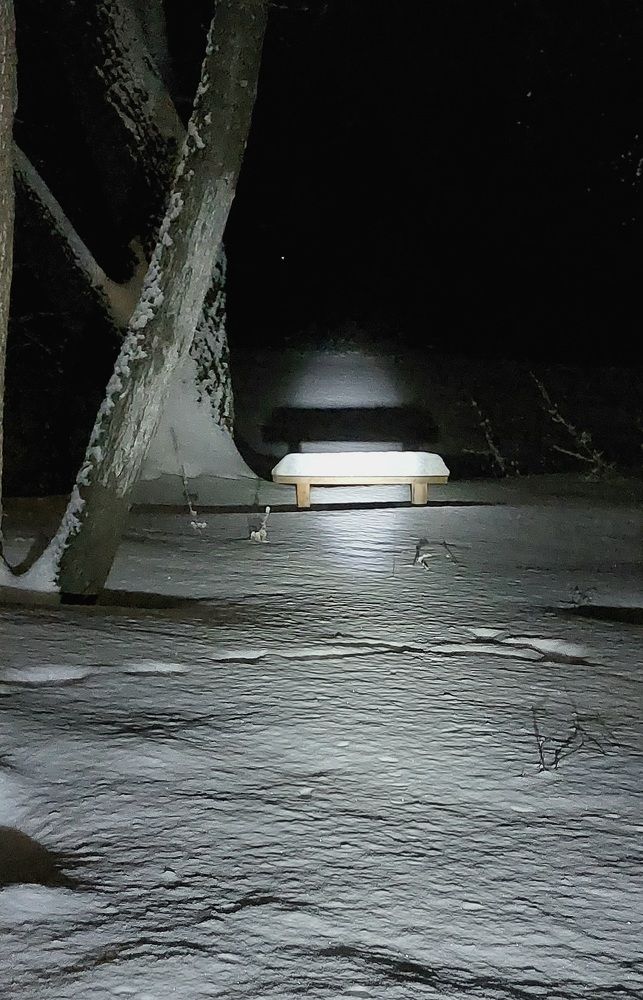 Photograph by Елена Царёва