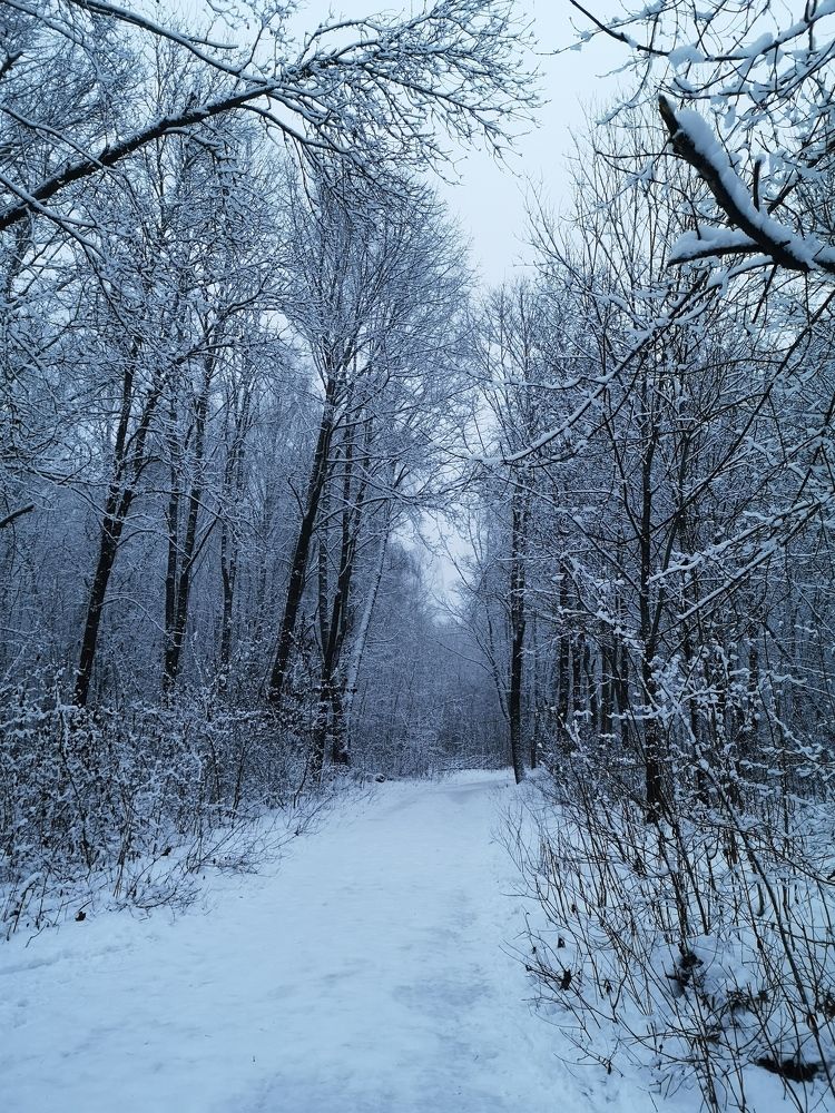 Photograph by София Лысова