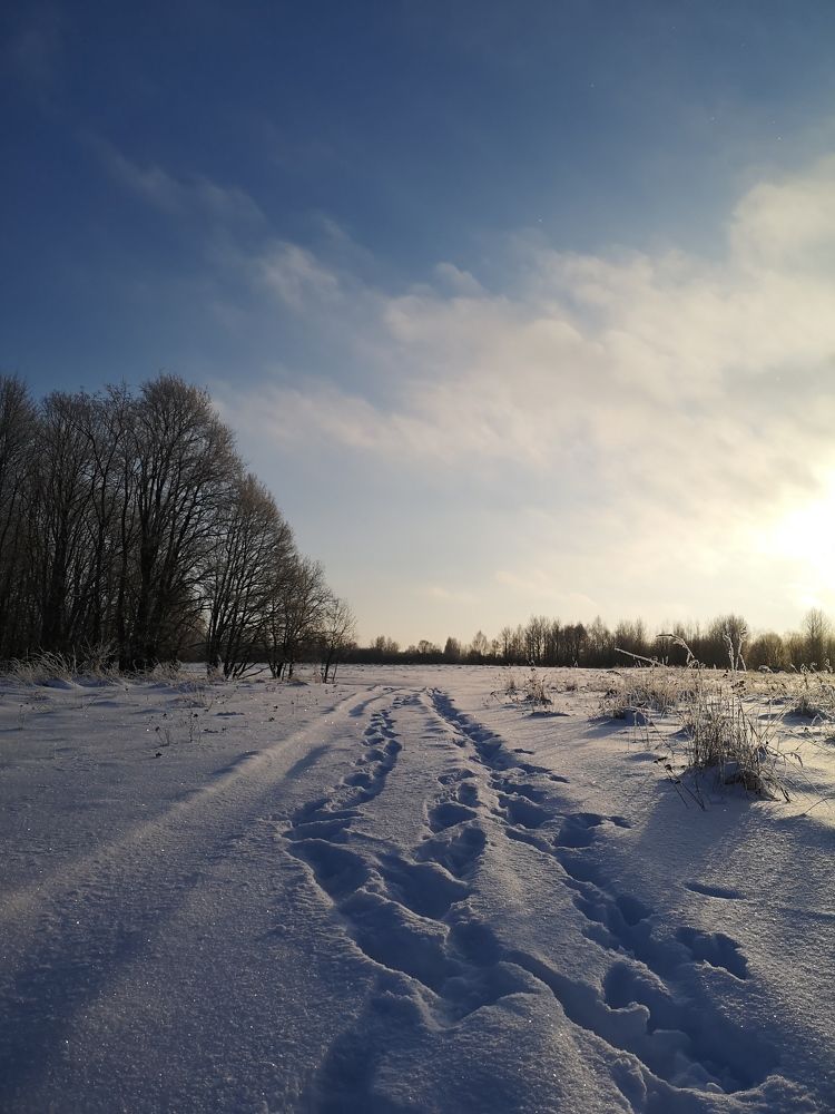 Зимнее утро