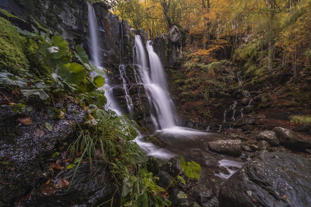 I colori della Natura