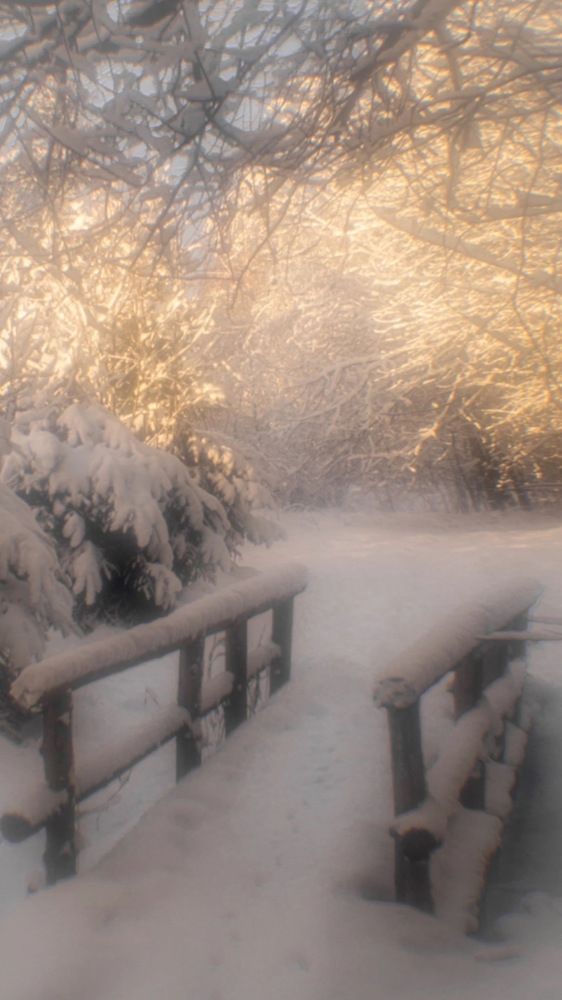 Photograph by Валентина Тарасова