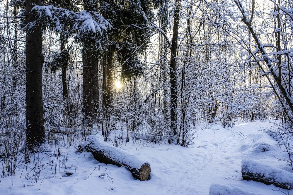 Photograph by Валентина Тарасова