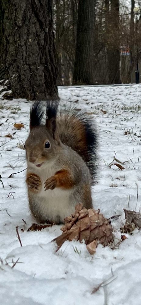 Photograph by Ирина Швейнова