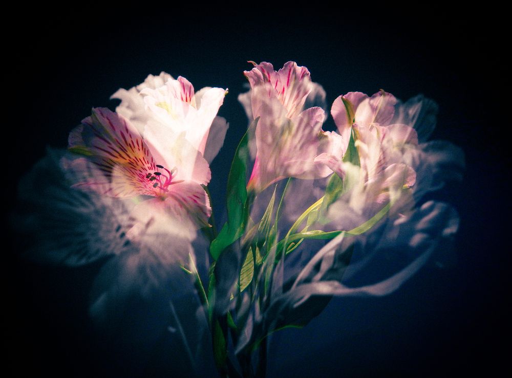 Photograph by Oleg Bogomolov