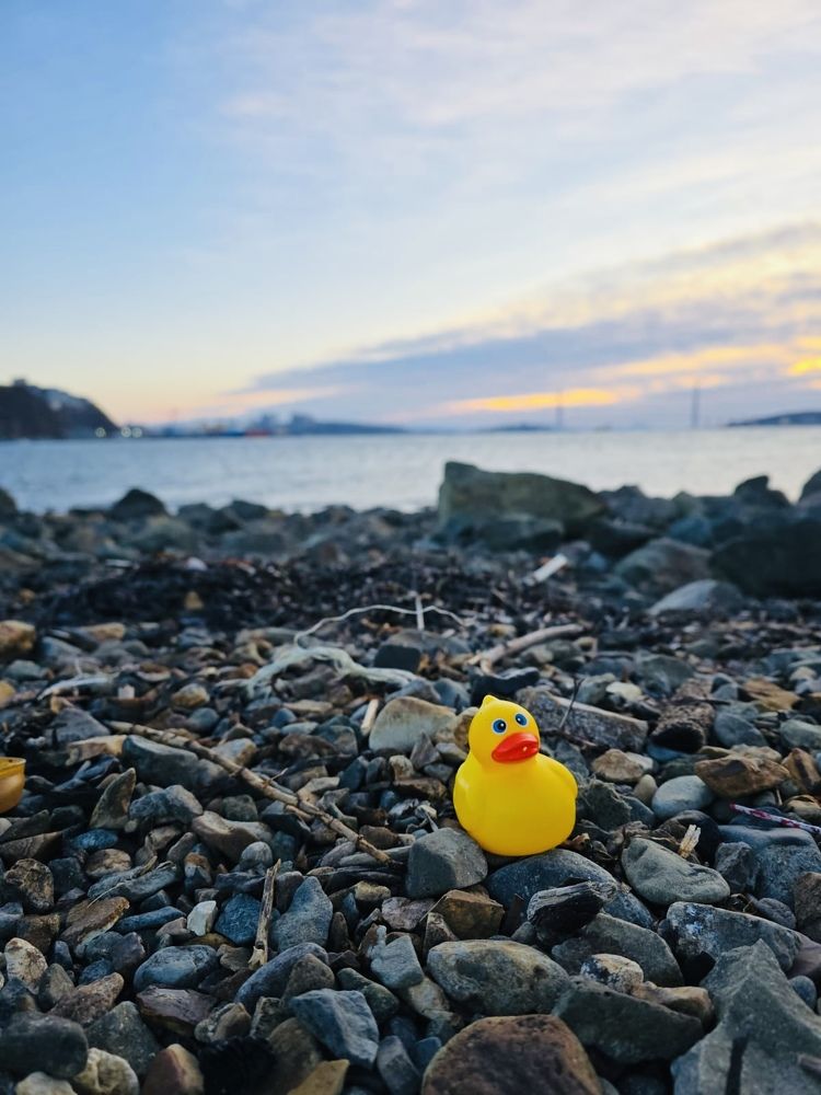 Photograph by Джамиля