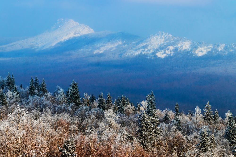 Photograph by Николай Диордиев