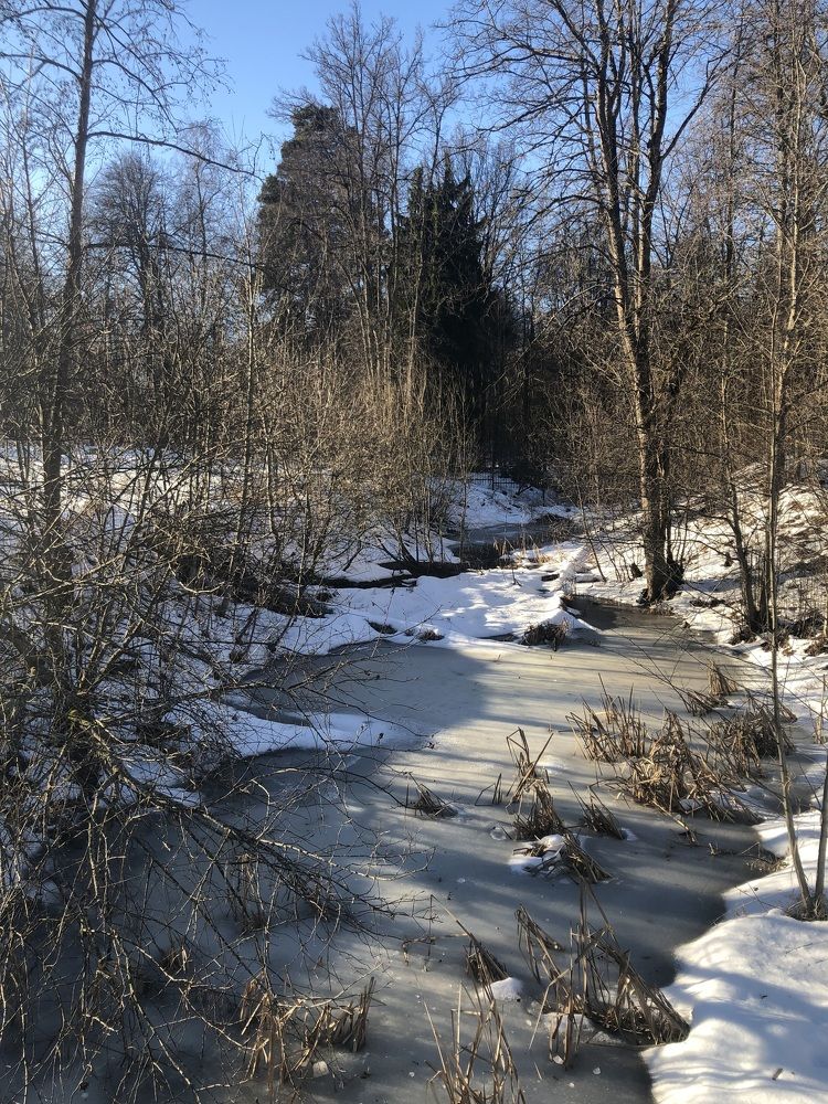 Photograph by Светлана