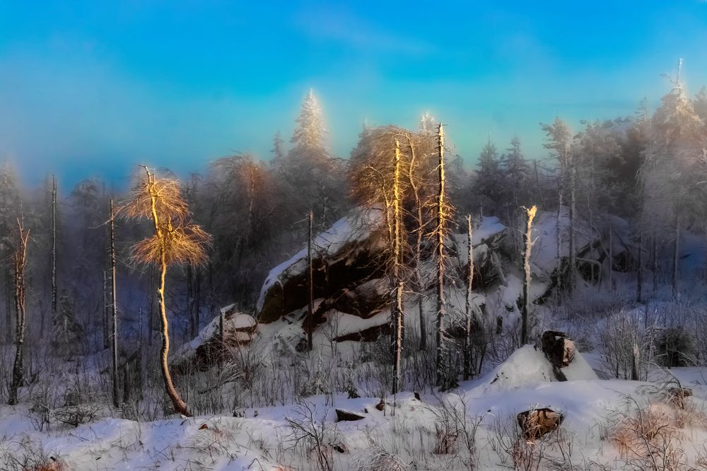 Photograph by Николай Диордиев