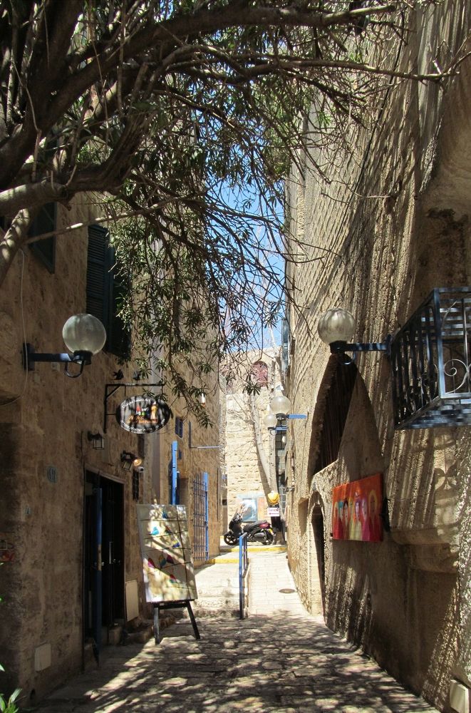 Photograph by Ольга Афанасьева