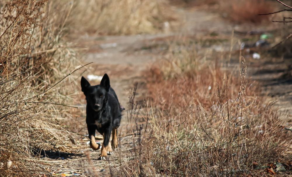 Photograph by Марина Мишутина