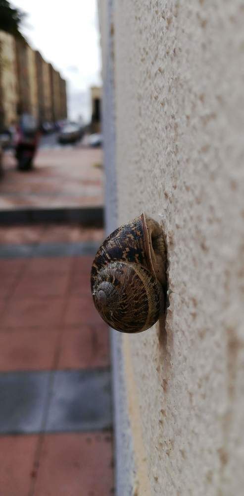 Photograph by Mar Cuadra Bentaieb