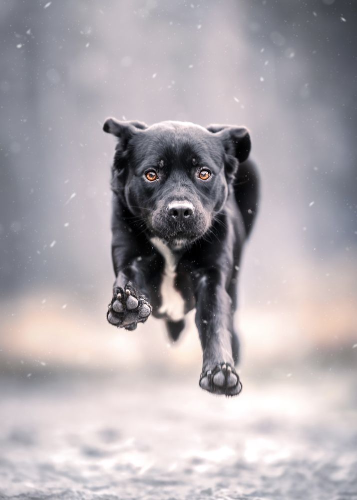 Photograph by Shanna van Mens