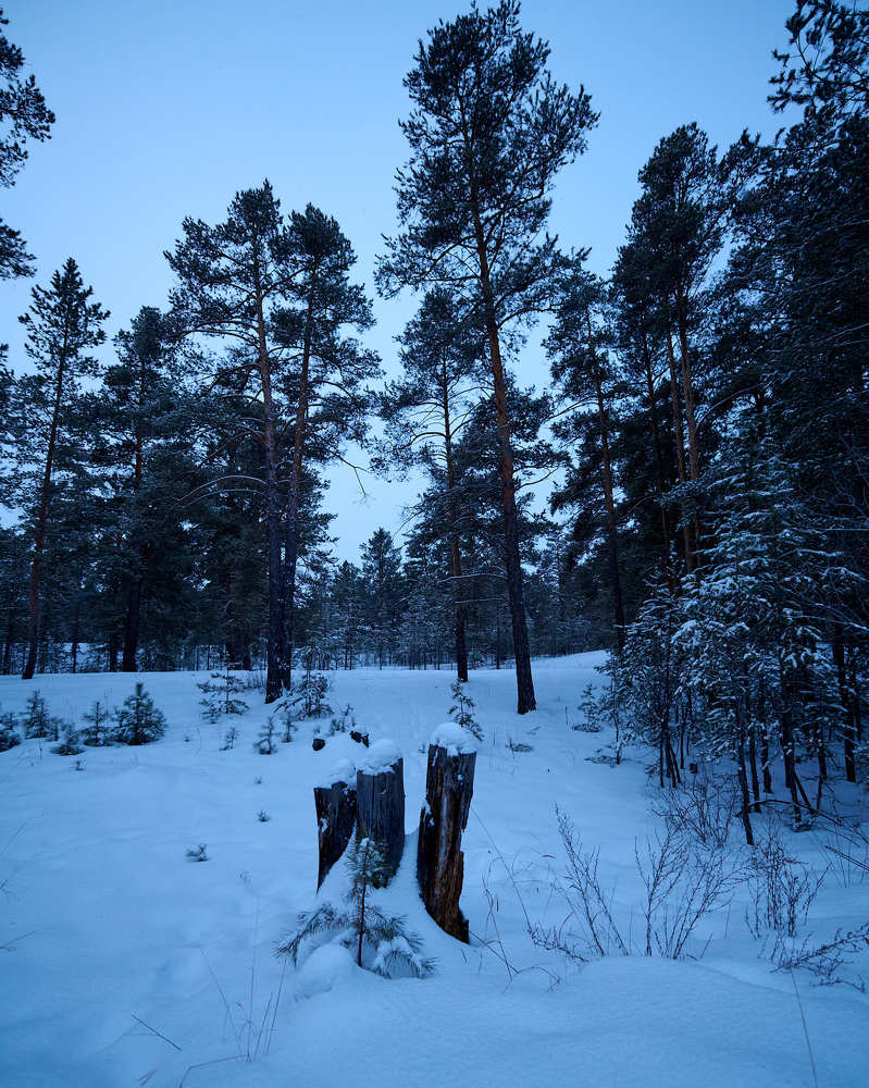 Photograph by Андрей Калачев
