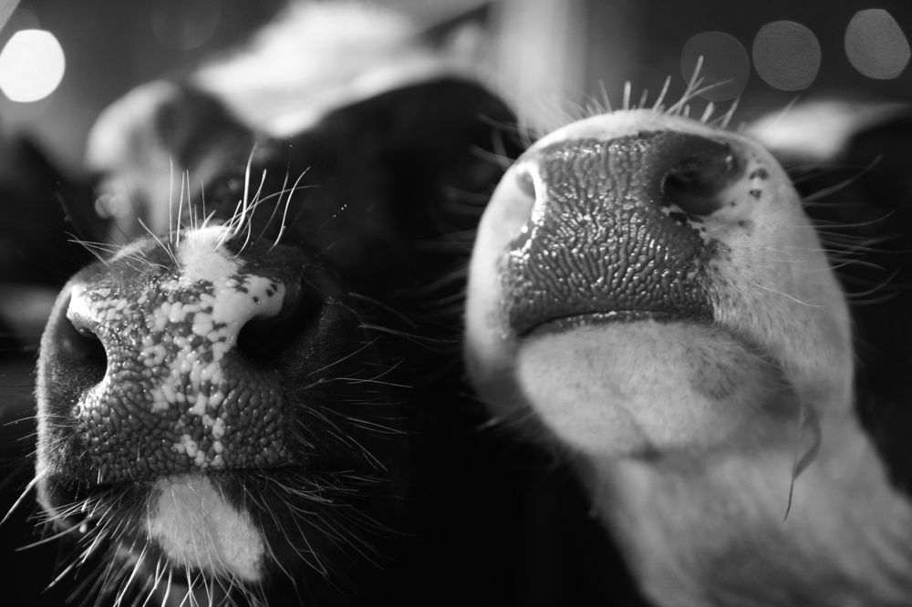 Photograph by Oleg Bogomolov
