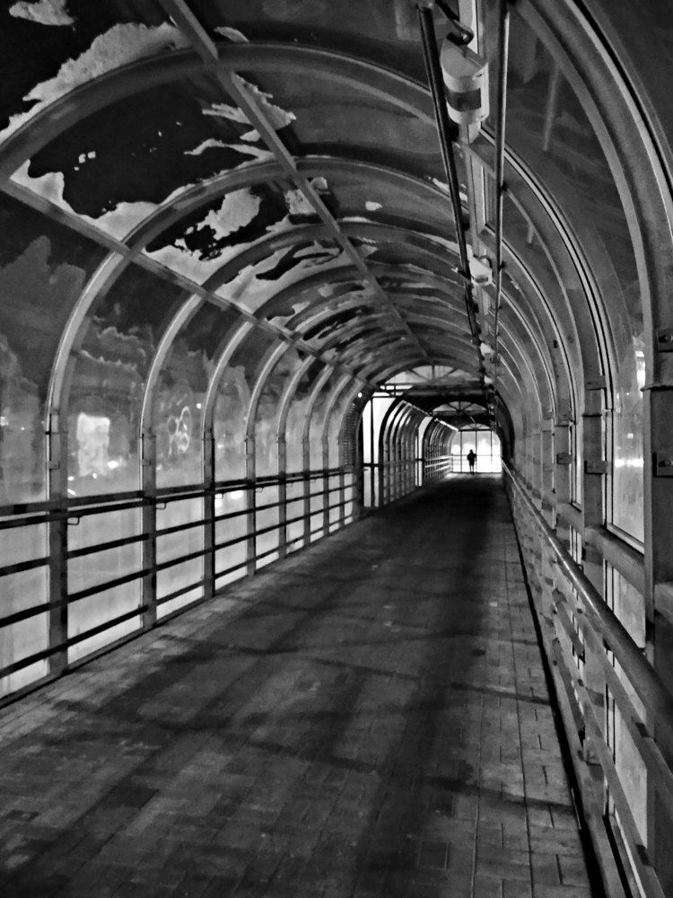 Photograph by Игорь Пшеничников