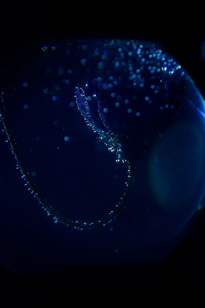 Photograph by Ольга Рыкова