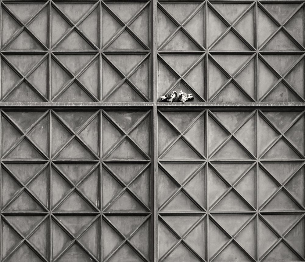 Photograph by Гребенников Сергей