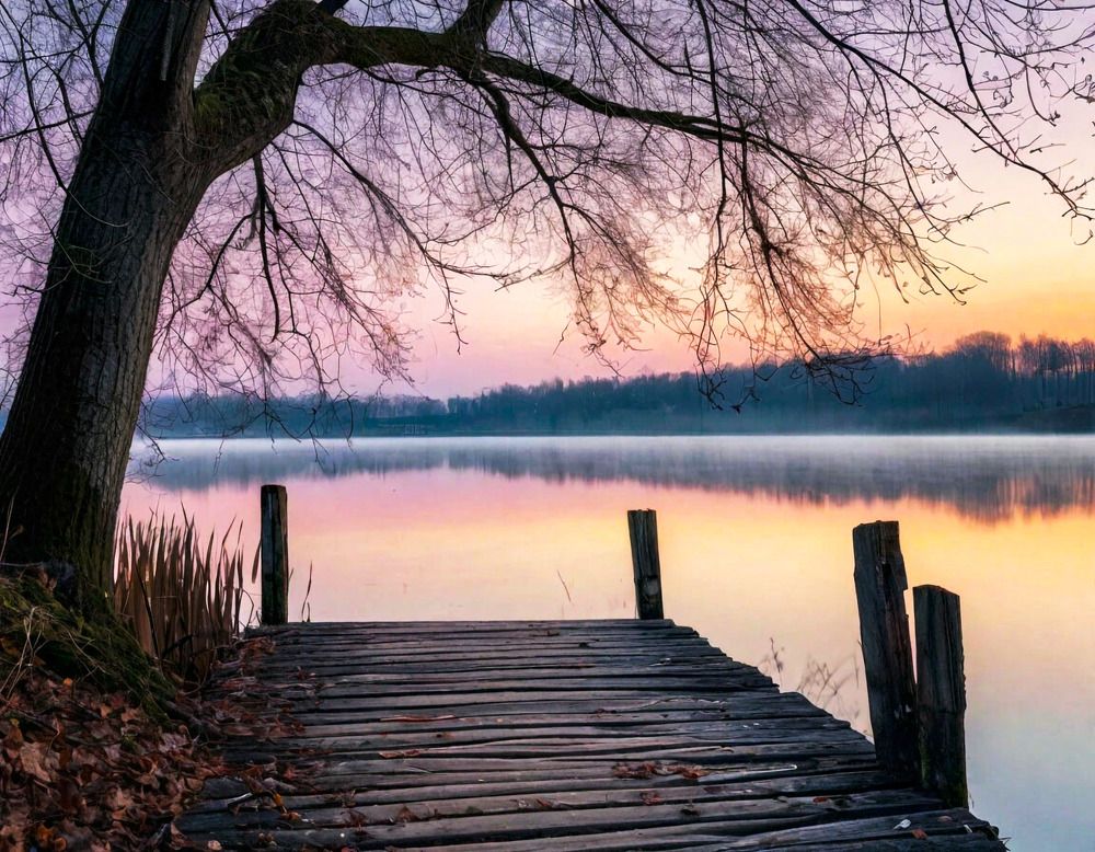 Photograph by Дария Ризниченко