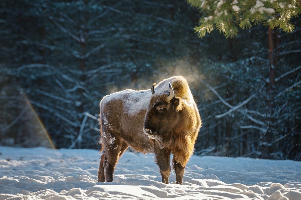 Photograph by Низовцева Елена