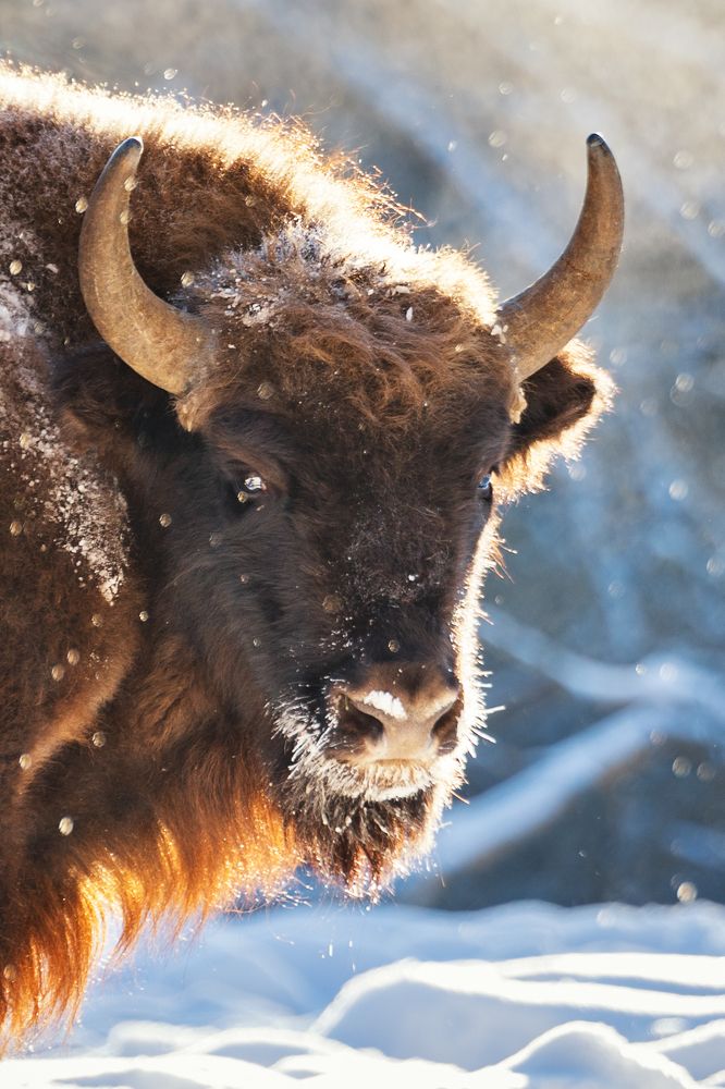 Photograph by Низовцева Елена