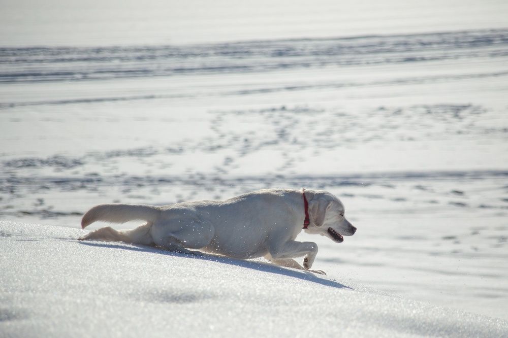 Photograph by Алексей
