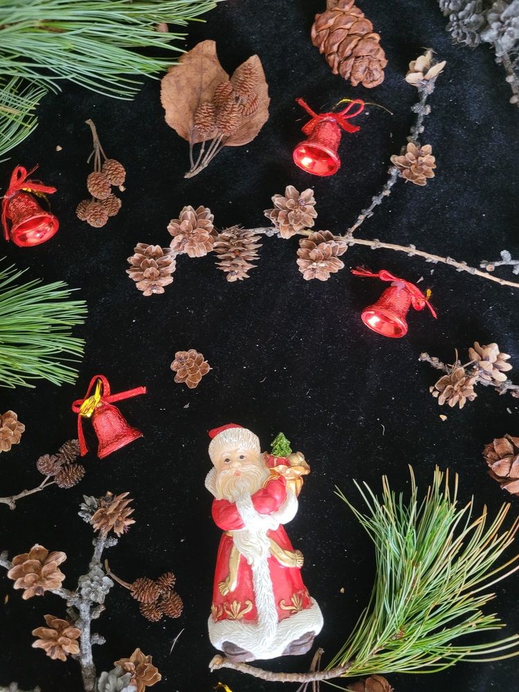 Фотография автора Казакова Людмила Ивановна