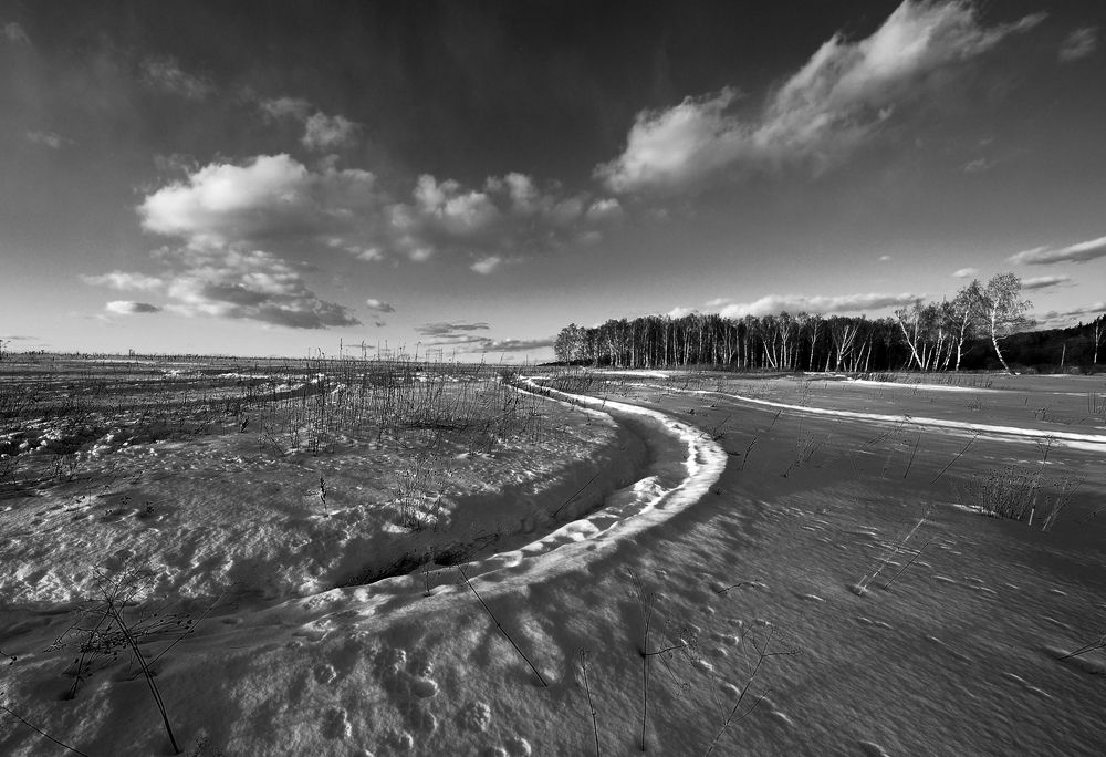 Photograph by Сергей Сережников