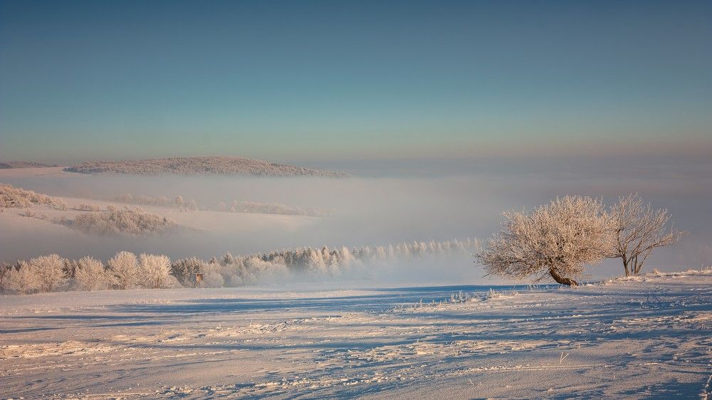 Photograph by Jiří Hakauf