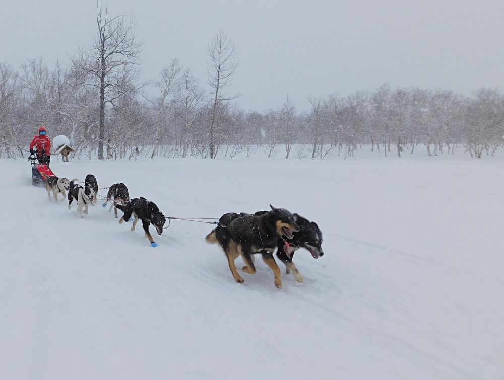 Photograph by Любовь Короткина