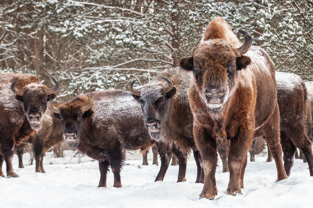 Photograph by Низовцева Елена